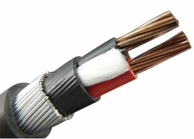 25mm armoured cable 2 core swa
